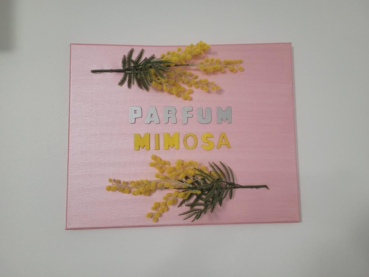 格拉斯Parfum Mimosa公寓 外观 照片